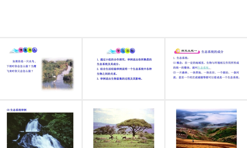 八年级生物下册 第10单元 第25章 第1节 生态系统的组成课件 苏教版-苏教版初中八年级下册生物课件
