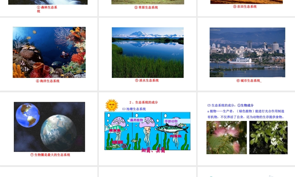 八年级生物下册 第10单元 第25章 第1节 生态系统的组成课件 苏教版-苏教版初中八年级下册生物课件