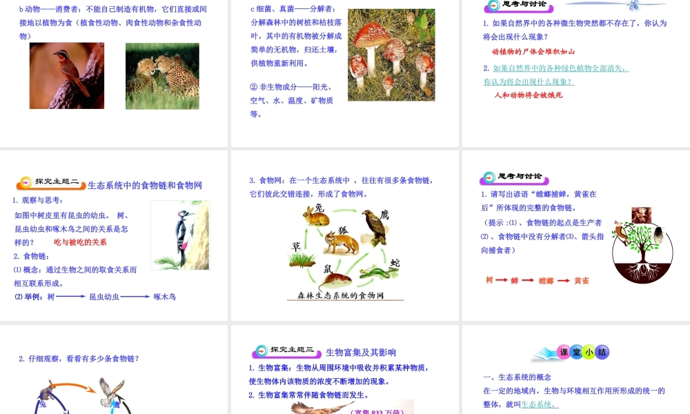 八年级生物下册 第10单元 第25章 第1节 生态系统的组成课件 苏教版-苏教版初中八年级下册生物课件