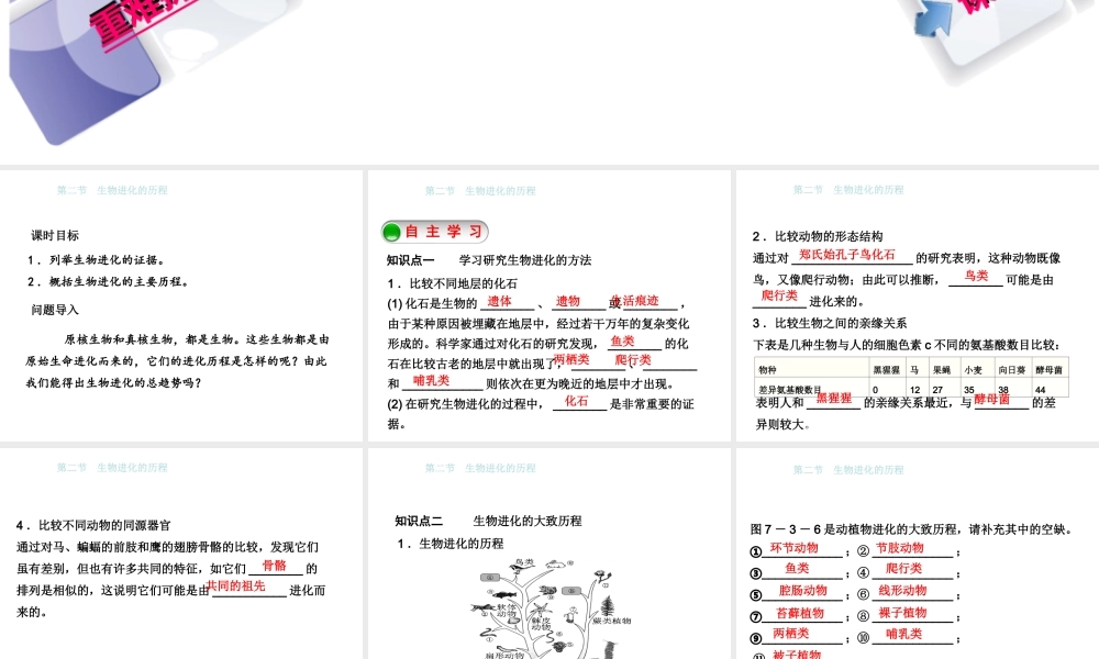 八年级生物下册 7.3.2生物进化的历程课件 （新版）新人教版-（新版）新人教级下册生物课件