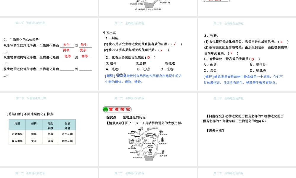 八年级生物下册 7.3.2生物进化的历程课件 （新版）新人教版-（新版）新人教级下册生物课件