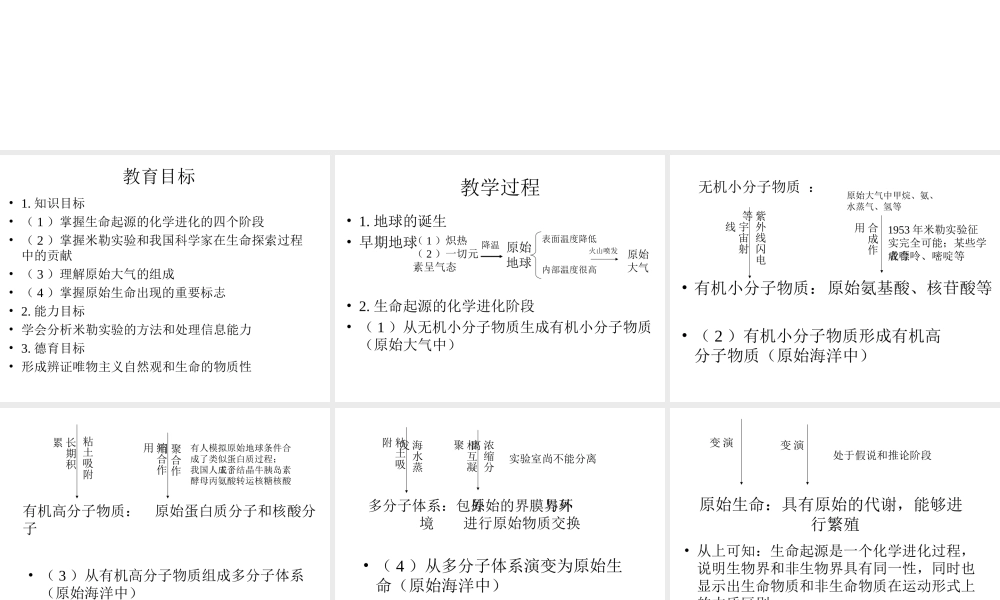 八年级生物下册 22.1《生命的起源》课件 苏科版