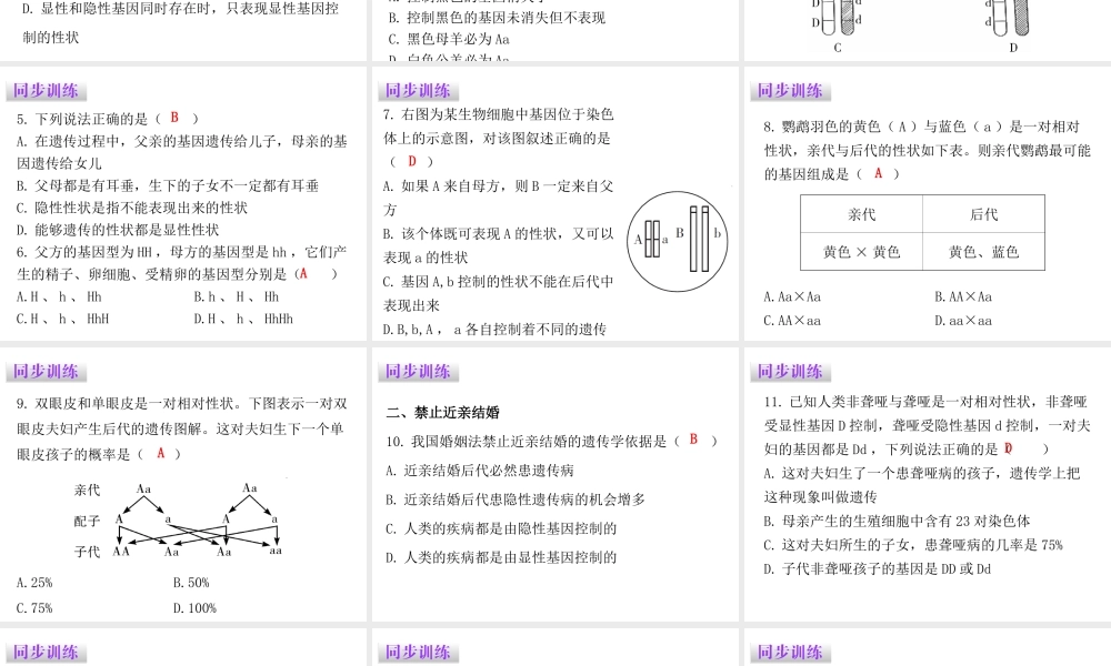 八年级生物下册 7.2.3 基因的显性和隐性课件（新版）新人教版-（新版）新人教版初中八年级下册生物课件