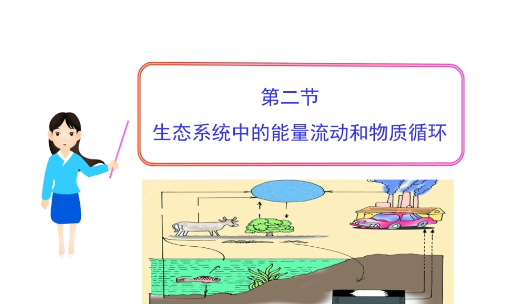 八年级生物下册 第10单元 第25章 第二节 生态系统中的能量流动和物质循环课件 苏教版