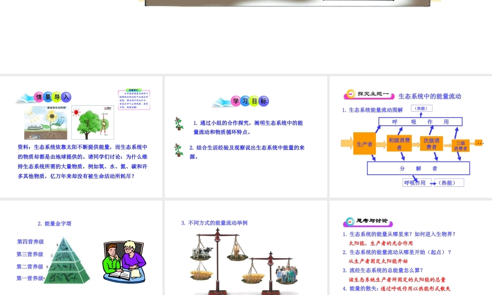八年级生物下册 第10单元 第25章 第二节 生态系统中的能量流动和物质循环课件 苏教版