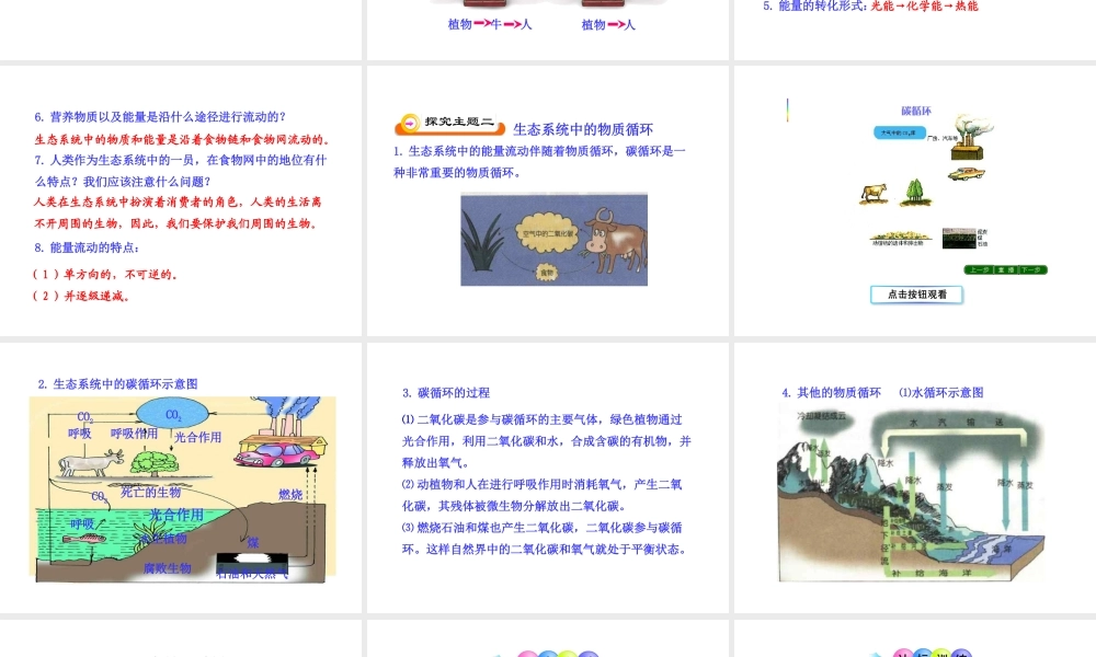 八年级生物下册 第10单元 第25章 第二节 生态系统中的能量流动和物质循环课件 苏教版