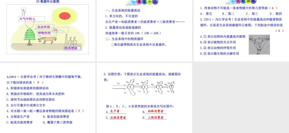 八年级生物下册 第10单元 第25章 第二节 生态系统中的能量流动和物质循环课件 苏教版