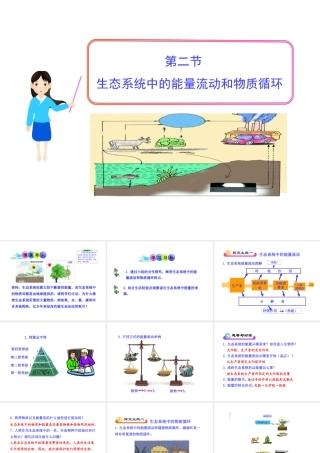 八年级生物下册 第10单元 第25章 第二节 生态系统中的能量流动和物质循环课件 苏教版