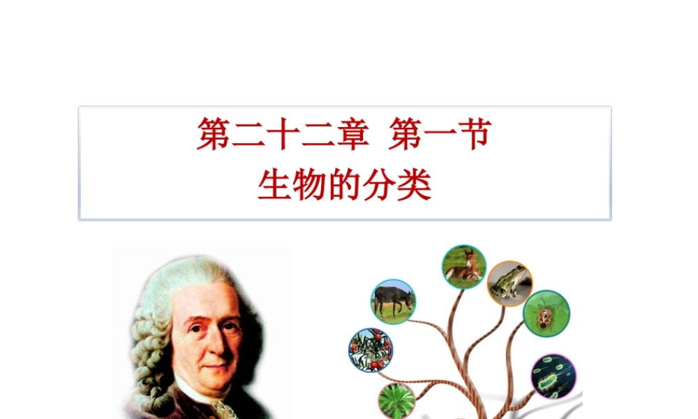 八年级生物下册 22.1《生物的分类》课件 （新版）北师大版-（新版）北师大版初中八年级下册生物课件