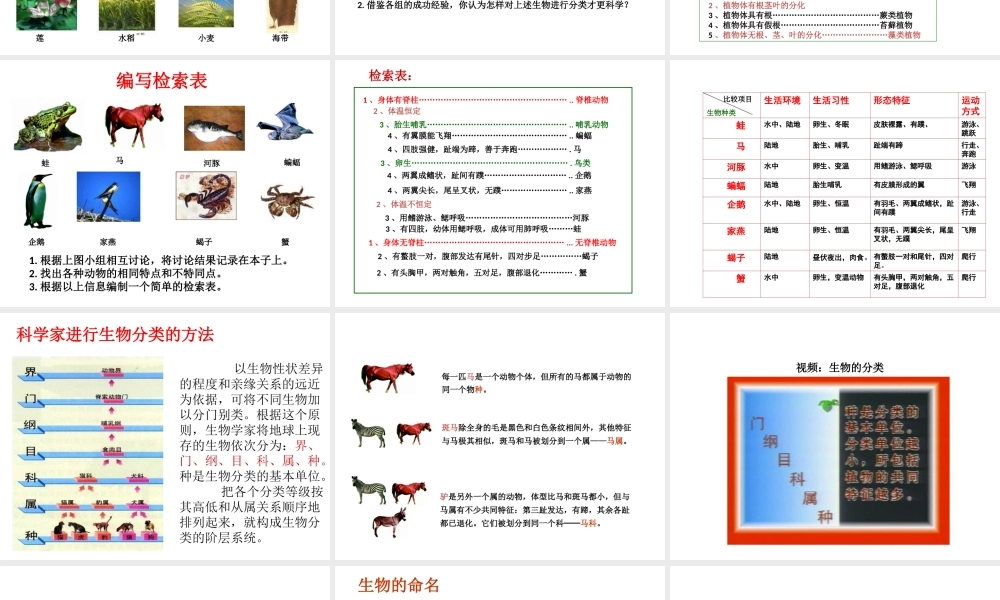 八年级生物下册 22.1《生物的分类》课件 （新版）北师大版-（新版）北师大版初中八年级下册生物课件