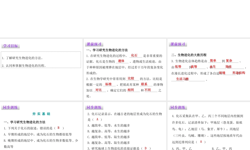 八年级生物下册 7.3.2生物进化的历程课件（新版）新人教版-（新版）新人教级下册生物课件