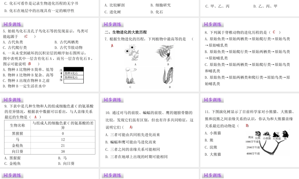 八年级生物下册 7.3.2生物进化的历程课件（新版）新人教版-（新版）新人教级下册生物课件