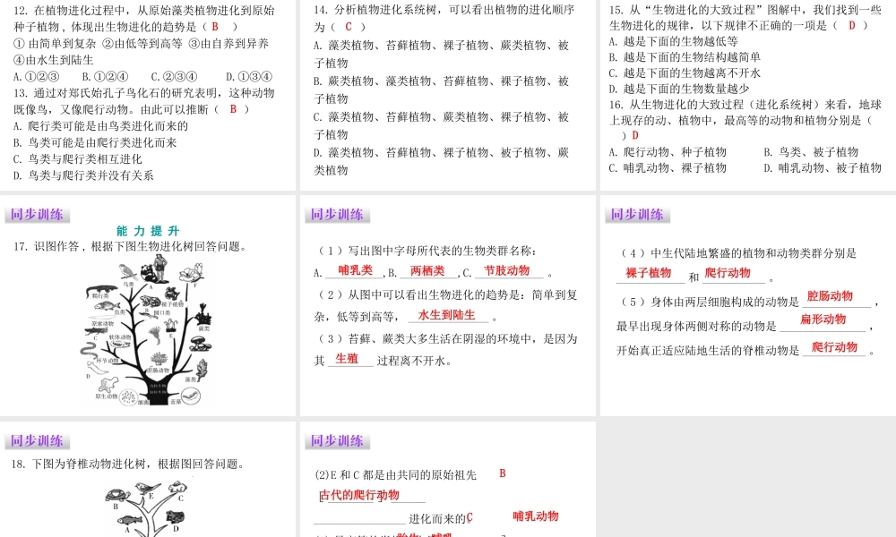 八年级生物下册 7.3.2生物进化的历程课件（新版）新人教版-（新版）新人教级下册生物课件