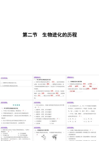 八年级生物下册 7.3.2生物进化的历程课件（新版）新人教版-（新版）新人教级下册生物课件
