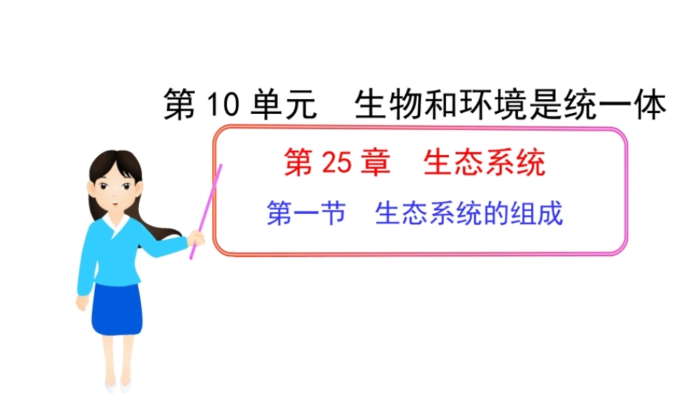 八年级生物下册 第10单元 第25章 第一节 生态系统的组成课件 苏教版