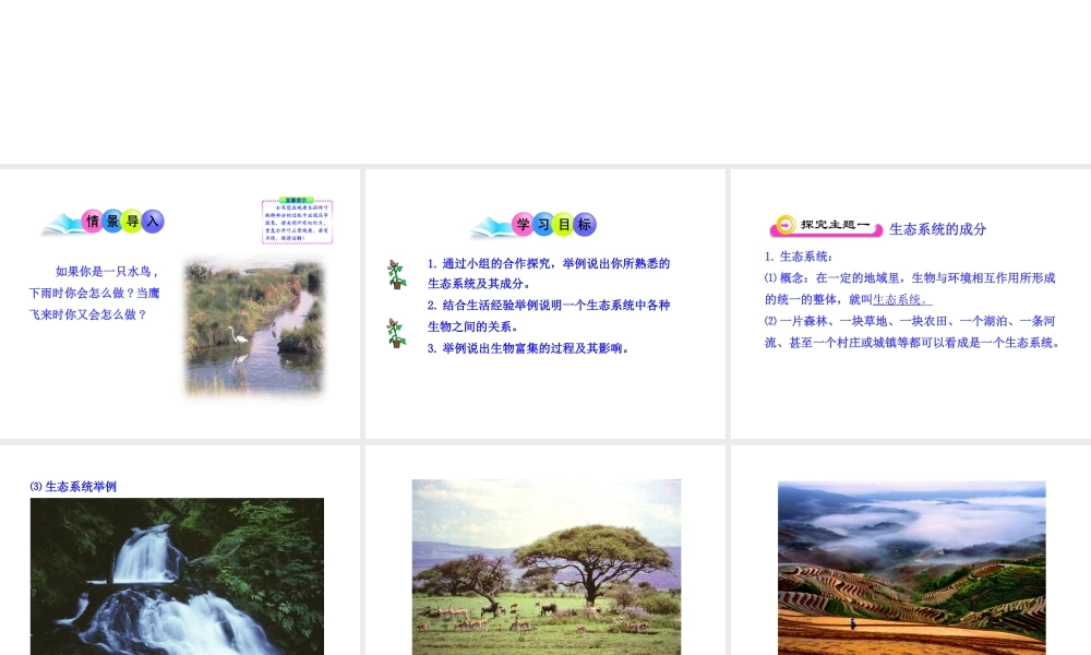 八年级生物下册 第10单元 第25章 第一节 生态系统的组成课件 苏教版