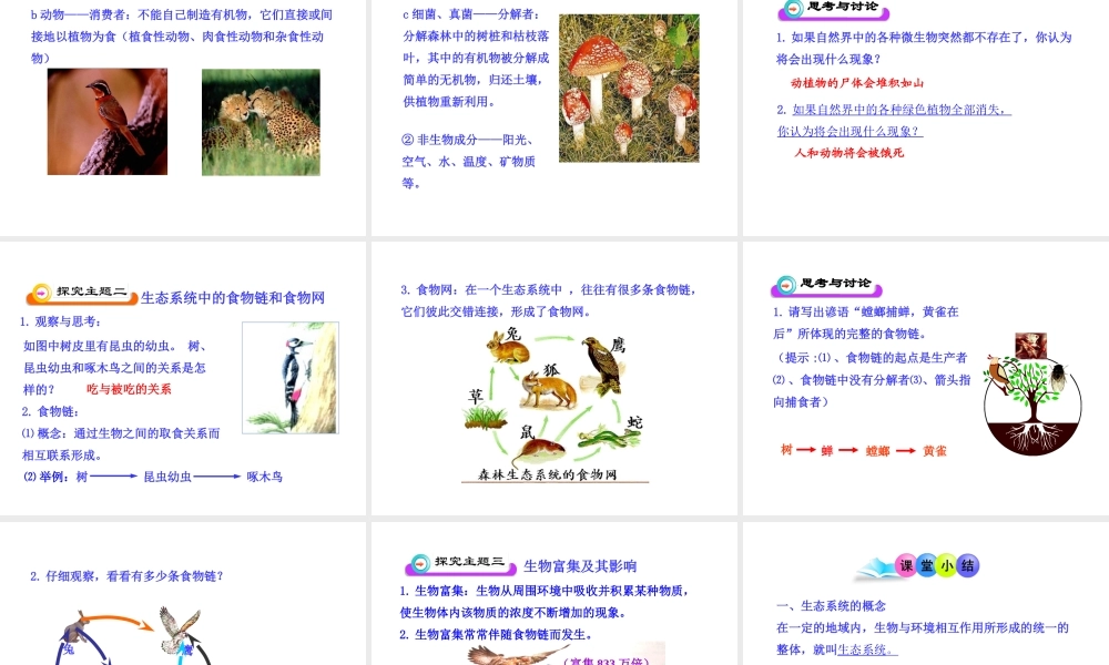 八年级生物下册 第10单元 第25章 第一节 生态系统的组成课件 苏教版