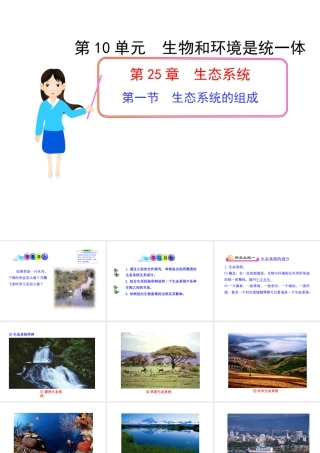 八年级生物下册 第10单元 第25章 第一节 生态系统的组成课件 苏教版