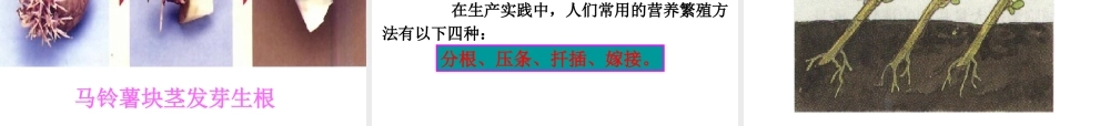 八年级生物下册 7.1.1 植物的生殖课件（1）（新版）新人教版-（新版）新人教级下册生物课件