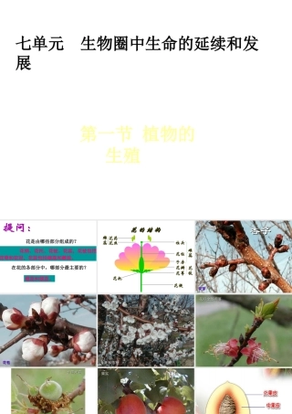 八年级生物下册 7.1.1 植物的生殖课件（1）（新版）新人教版-（新版）新人教级下册生物课件