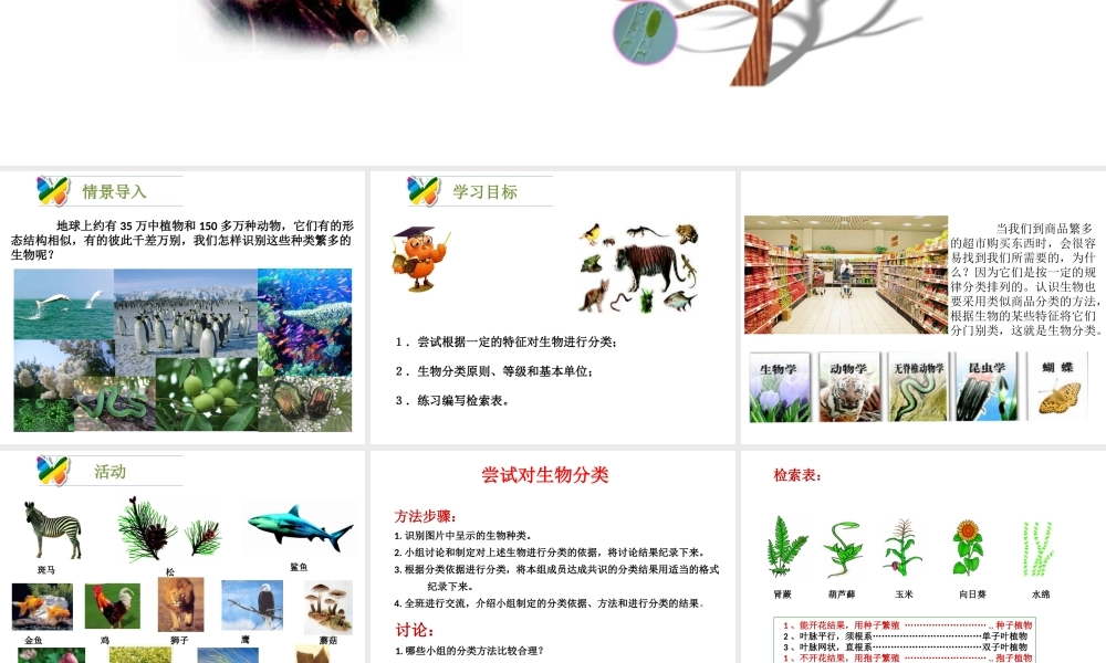 八年级生物下册 22.1《生物的分类》课件 （新版）北师大版-（新版）北师大级下册生物课件