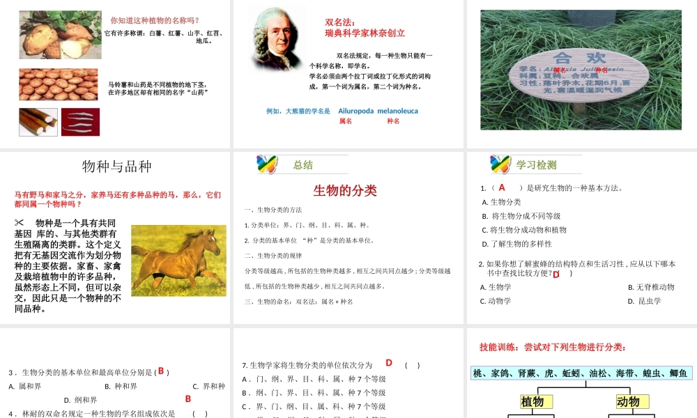 八年级生物下册 22.1《生物的分类》课件 （新版）北师大版-（新版）北师大级下册生物课件