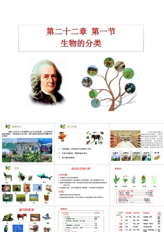 八年级生物下册 22.1《生物的分类》课件 （新版）北师大版-（新版）北师大级下册生物课件