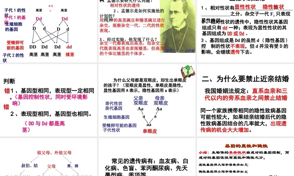 八年级生物下册 7.2.3 基因的显性和隐性课件1 （新版）新人教版