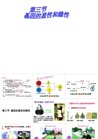 八年级生物下册 7.2.3 基因的显性和隐性课件1 （新版）新人教版