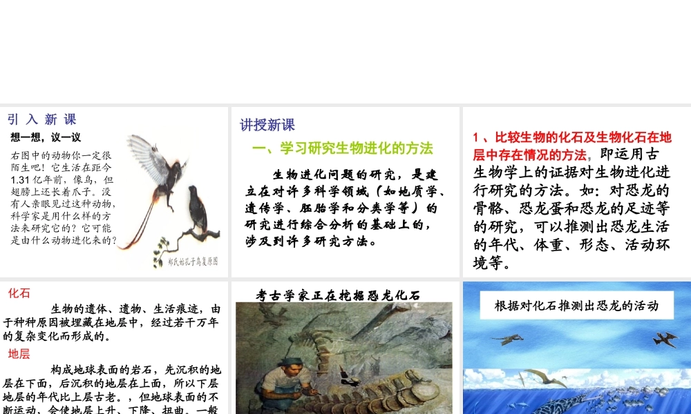 八年级生物下册 7.3.2生物进化的历程课件1 （新版）新人教版-（新版）新人教版初中八年级下册生物课件
