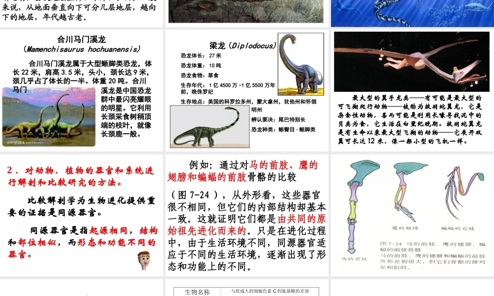 八年级生物下册 7.3.2生物进化的历程课件1 （新版）新人教版-（新版）新人教版初中八年级下册生物课件