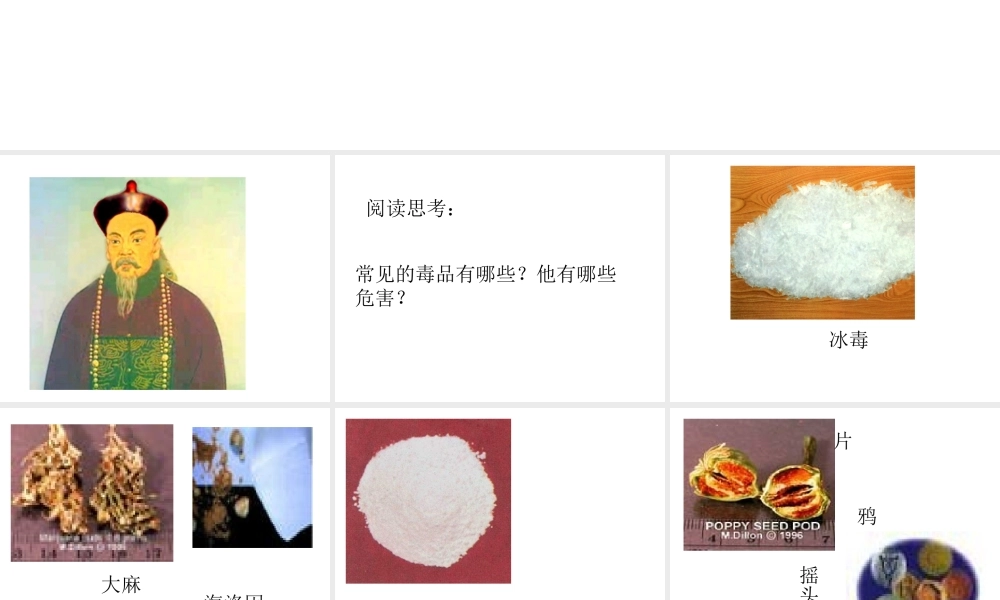 八年级生物下册 第10单元 第26章 第二节 拒绝毒品，珍爱生命课件 苏教版-苏教版初中八年级下册生物课件