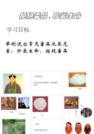 八年级生物下册 第10单元 第26章 第二节 拒绝毒品，珍爱生命课件 苏教版-苏教版初中八年级下册生物课件