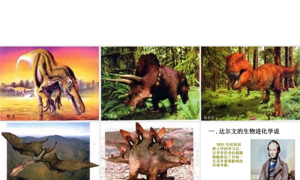 八年级生物下册 24.3 生物进化的学说课件 苏教版