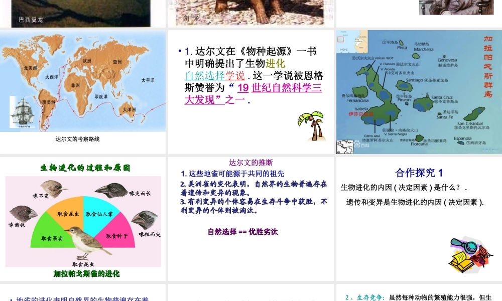 八年级生物下册 24.3 生物进化的学说课件 苏教版