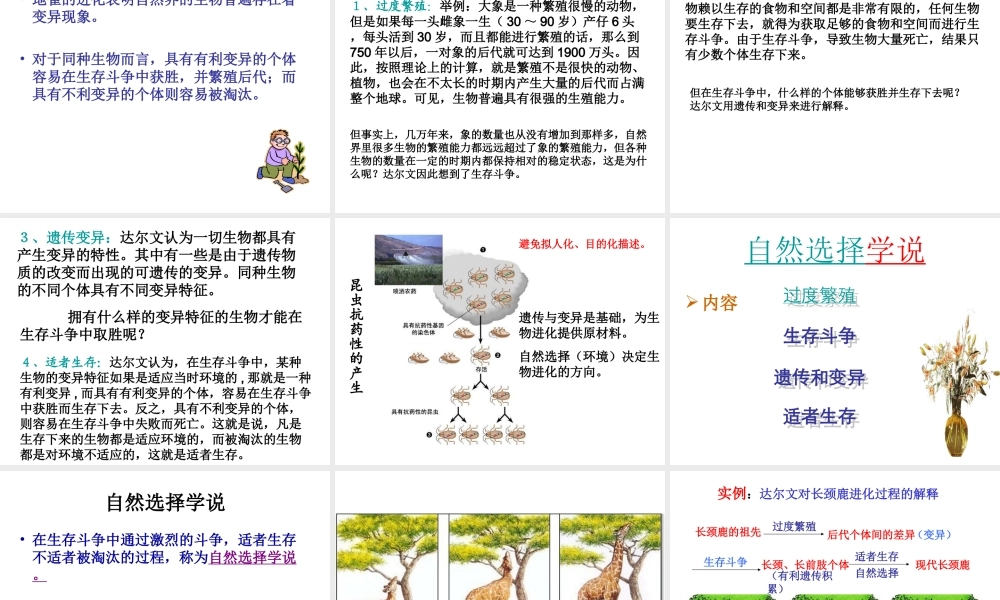 八年级生物下册 24.3 生物进化的学说课件 苏教版