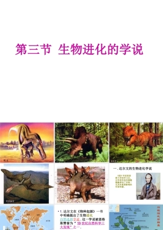 八年级生物下册 24.3 生物进化的学说课件 苏教版
