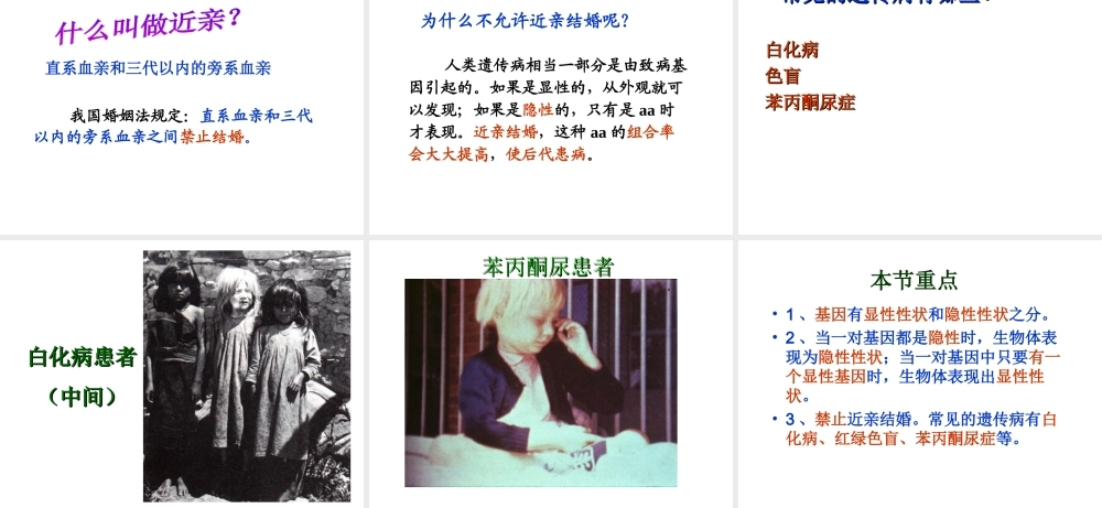 八年级生物下册 7.2.3 基因的显性和隐性课件2 （新版）新人教版