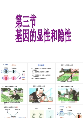 八年级生物下册 7.2.3 基因的显性和隐性课件2 （新版）新人教版