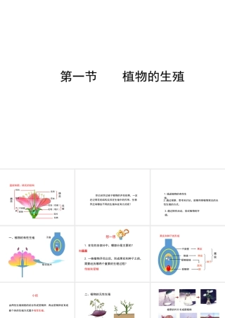 八年级生物下册 7.1.1 植物的生殖课件（2）（新版）新人教版-（新版）新人教版初中八年级下册生物课件