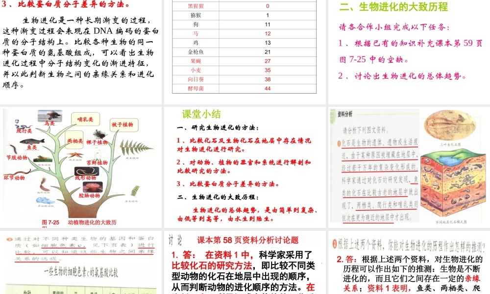 八年级生物下册 7.3.2生物进化的历程课件1 （新版）新人教版-（新版）新人教级下册生物课件