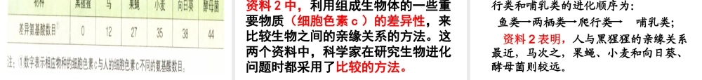 八年级生物下册 7.3.2生物进化的历程课件1 （新版）新人教版-（新版）新人教级下册生物课件