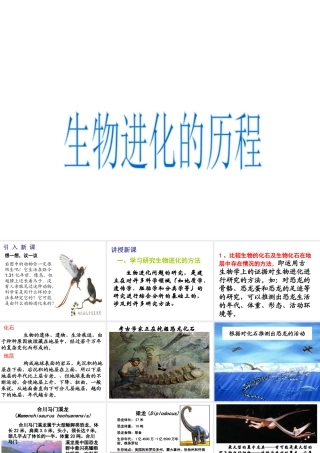 八年级生物下册 7.3.2生物进化的历程课件1 （新版）新人教版-（新版）新人教级下册生物课件
