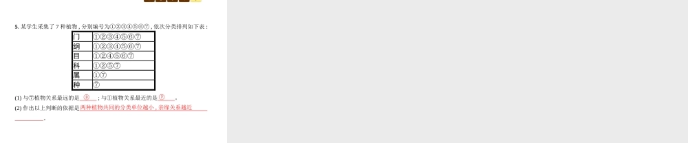 八年级生物下册 22.1生物的分类课件 （新版）北师大版-（新版）北师大级下册生物课件