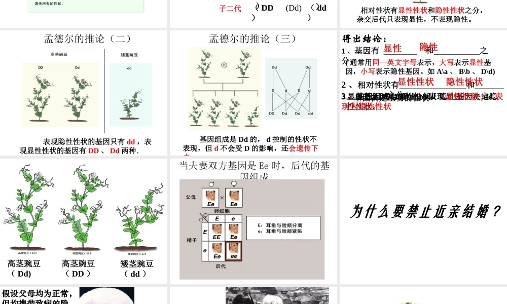 八年级生物下册 7.2.3 基因的显性和隐性课件3 （新版）新人教版