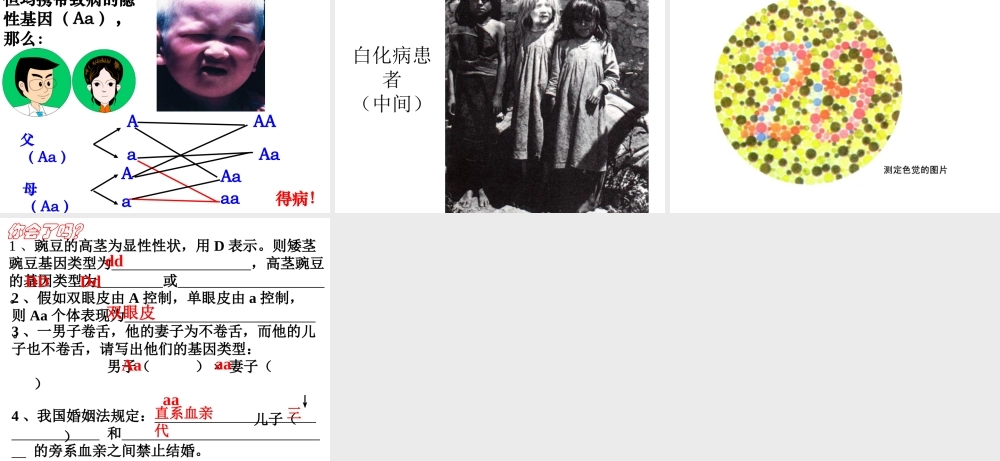 八年级生物下册 7.2.3 基因的显性和隐性课件3 （新版）新人教版