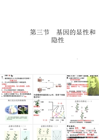 八年级生物下册 7.2.3 基因的显性和隐性课件3 （新版）新人教版