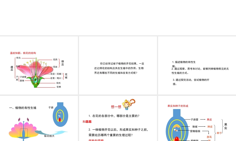 八年级生物下册 7.1.1 植物的生殖课件（2）（新版）新人教版-（新版）新人教级下册生物课件