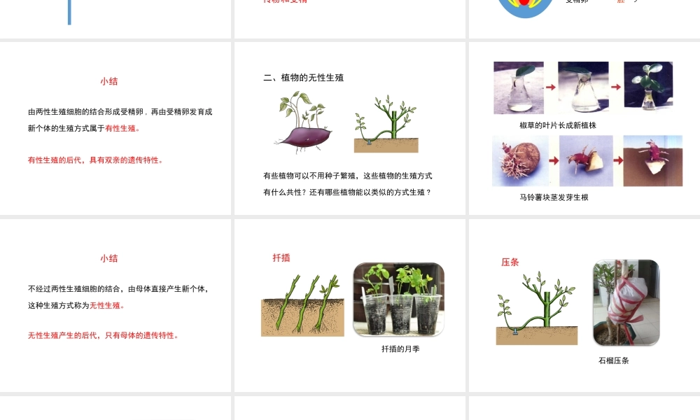 八年级生物下册 7.1.1 植物的生殖课件（2）（新版）新人教版-（新版）新人教级下册生物课件