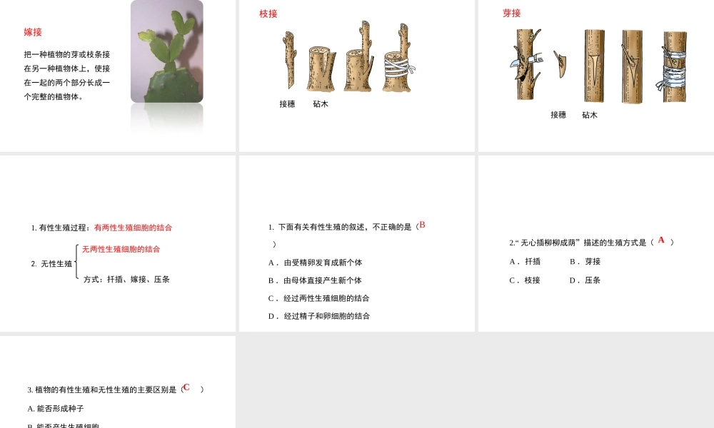 八年级生物下册 7.1.1 植物的生殖课件（2）（新版）新人教版-（新版）新人教级下册生物课件